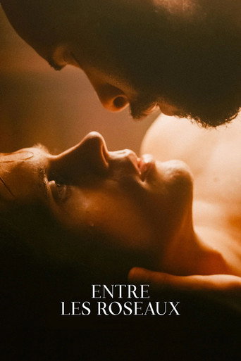 Regarder Entre les roseaux en streaming complet