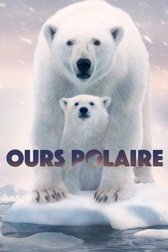 Regarder Ours polaire en streaming complet