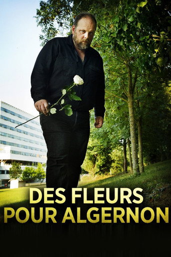 Regarder Des fleurs pour Algernon en streaming complet