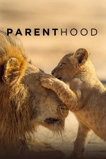 Regarder Être Parent en streaming complet