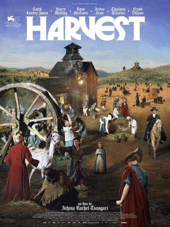 Regarder Harvest en streaming complet